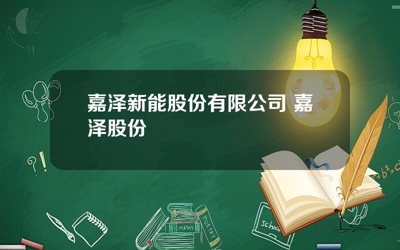 嘉泽新能股份有限公司 嘉泽股份